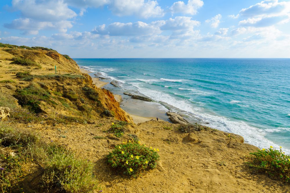 View,Of,Sandstone,Cliffs,And,The,Mediterranean,Sea,Coast,,In